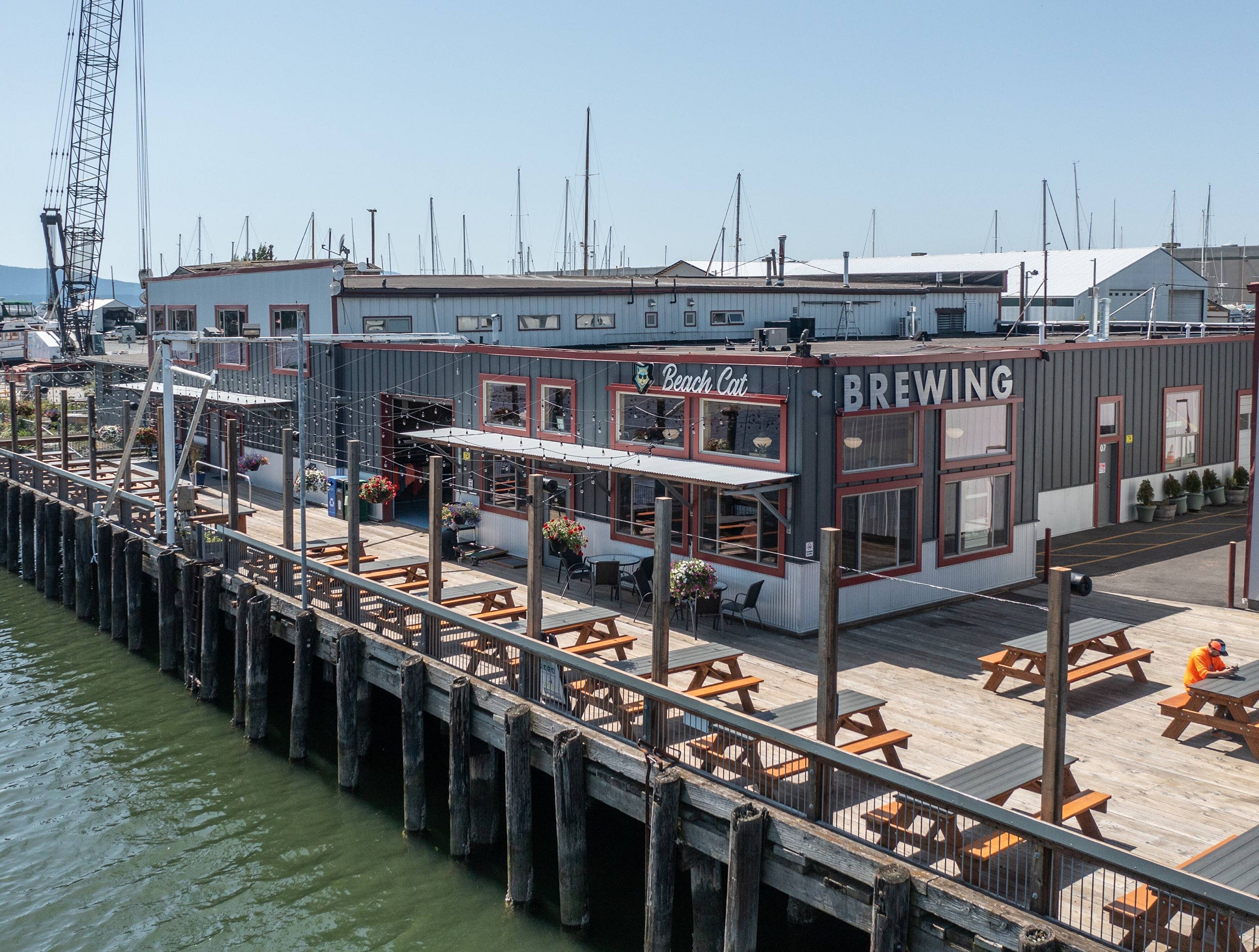 Birch Bay, Washington's Favorite Craft Brewery! | Beach Cat Brewing